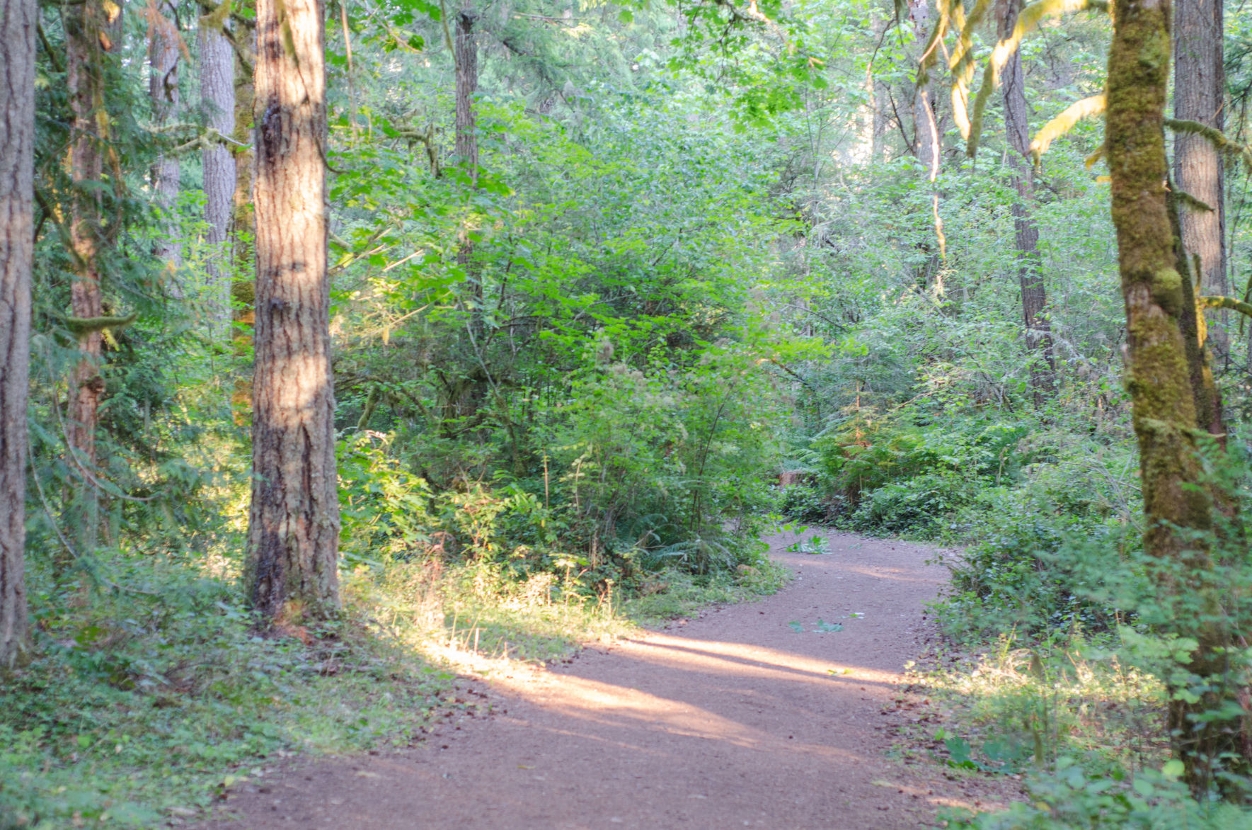 190808.outdoors.hiking.er4.jpg